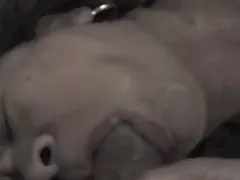 MFM sex i erotyka Loda część i