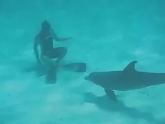 Sswimmig polskie filmy porno amatorskie z dlophin rozbrykany